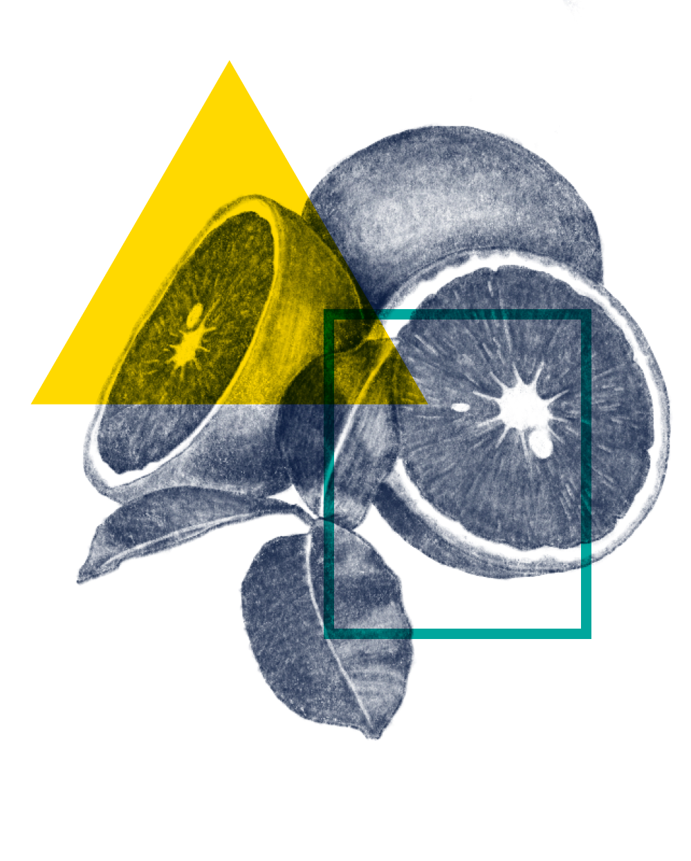 Quercetin