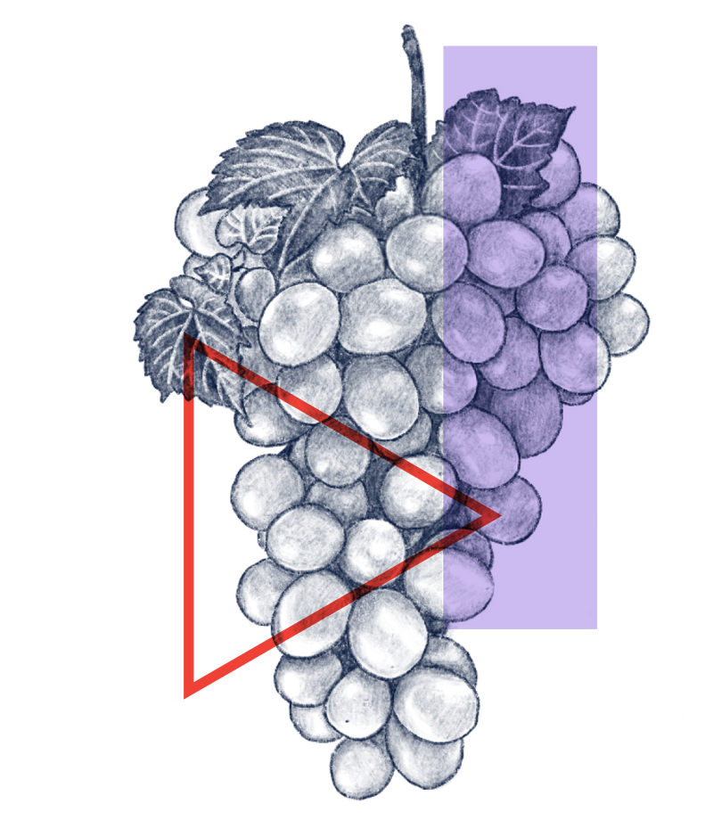 Resveratrol