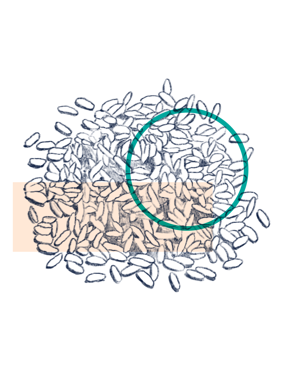 Ferulic Acid