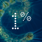 Ingredient   Algaktiv BioSKIN