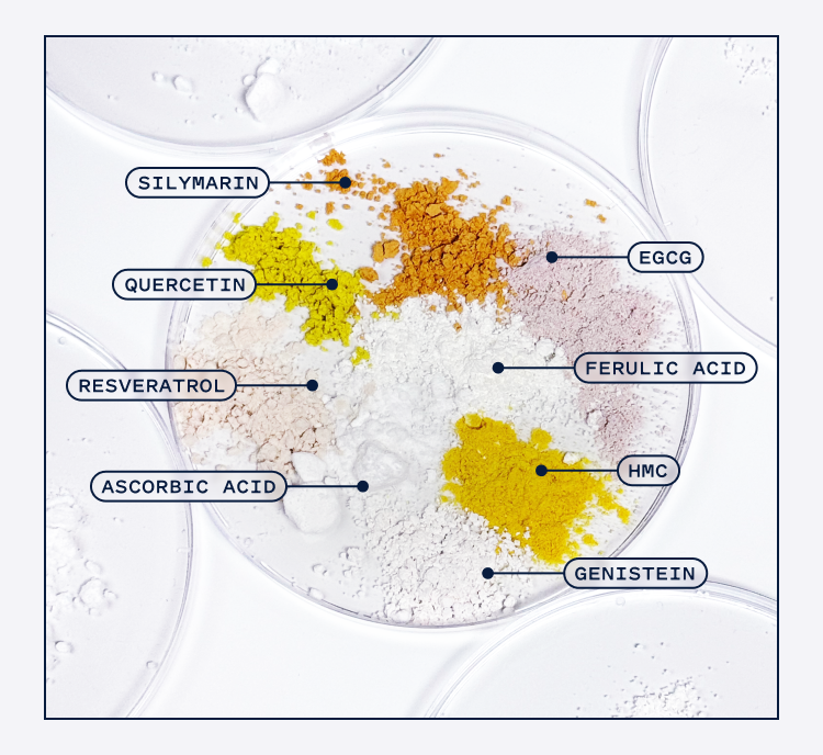 does quercetin increase glutathione – Regimen Lab K03 Reminding Oneself to Love Dosage:250 Mg